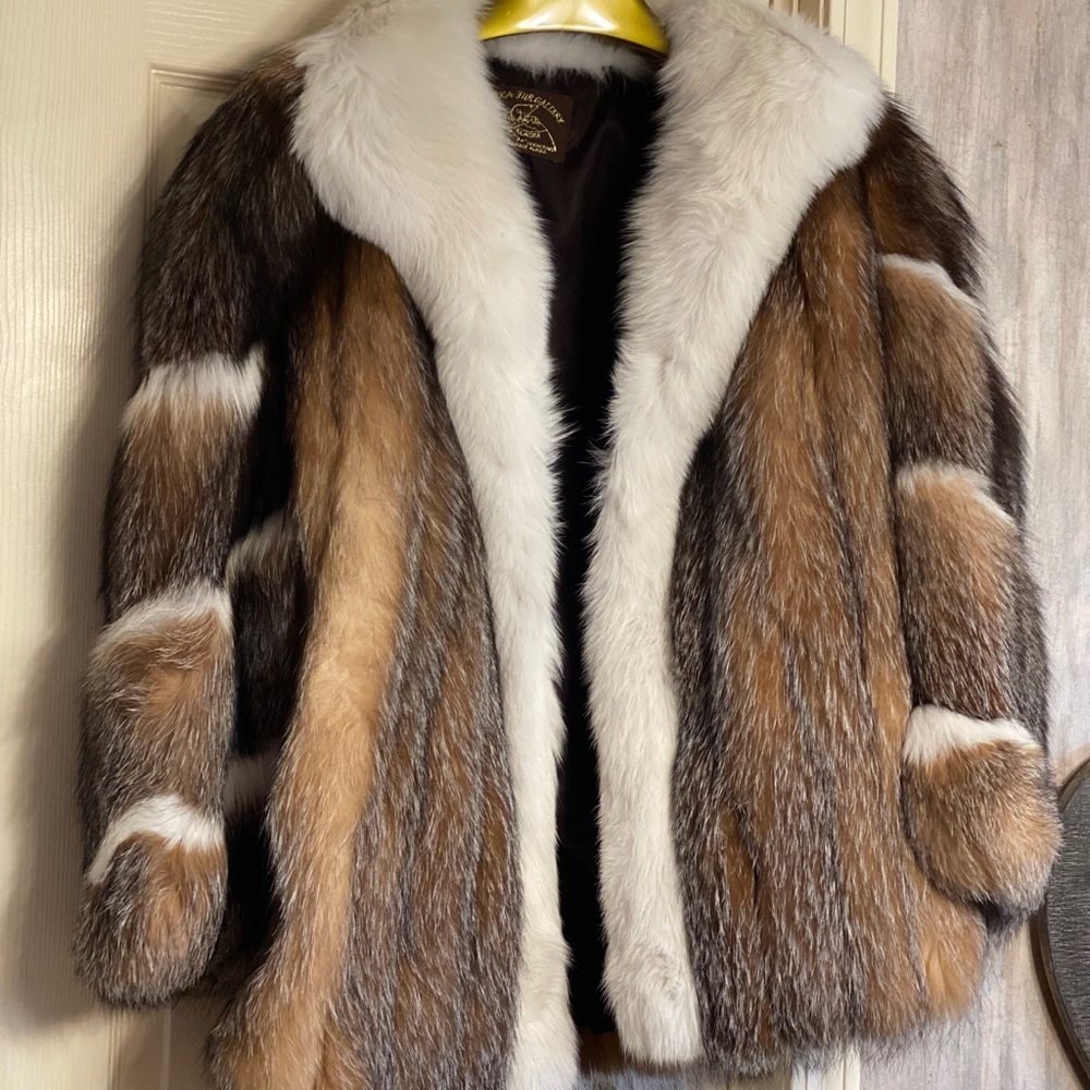Alaskan Red Fox with Hat